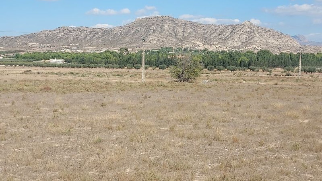 Перепродажа - Участок / Земельный участок - Hondón de las Nieves