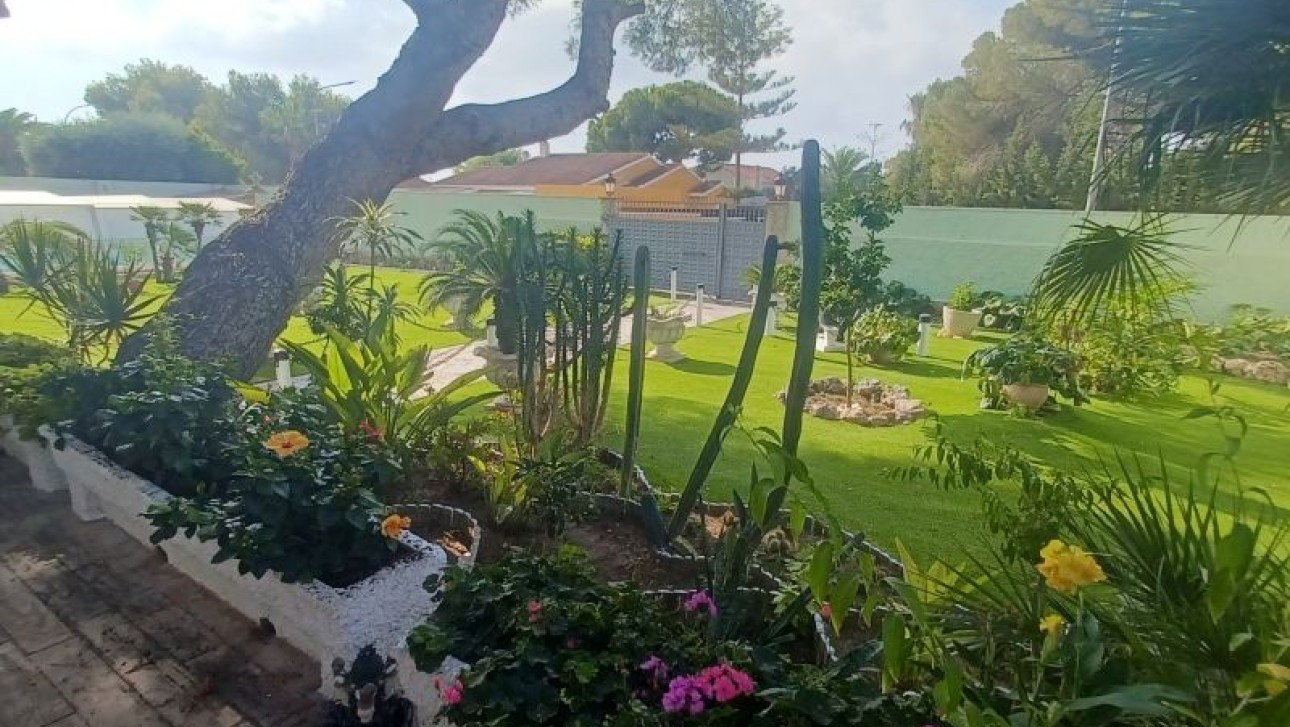 Revente - Villa - Orihuela Costa