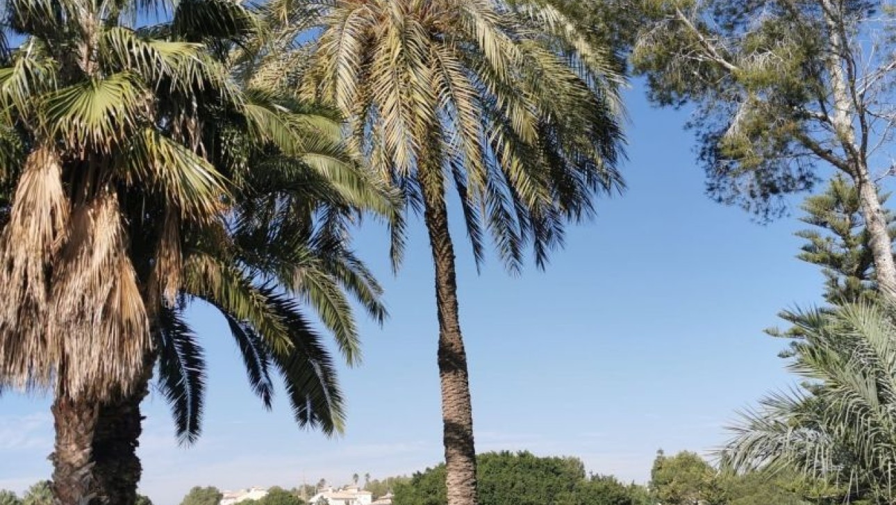 Resale - Apartment - Orihuela Costa