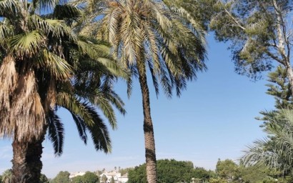 Resale - Apartment - Orihuela Costa