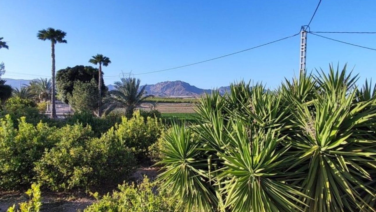 Перепродажа - Villa - Orihuela Costa - Orihuela