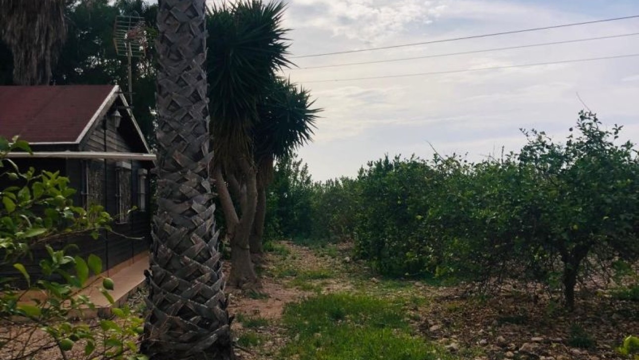 Перепродажа - Villa - Orihuela Costa - Orihuela