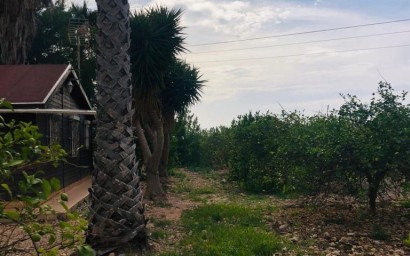 Перепродажа - Villa - Orihuela Costa - Orihuela