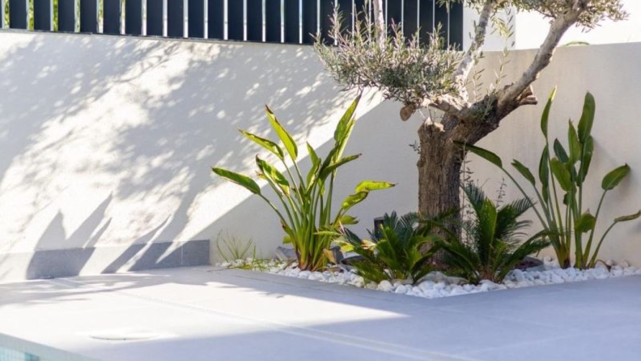 Revente - Villa - Algorfa