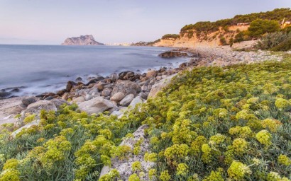 New Build - Villa - Benissa - Cala Advocat