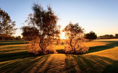 New Build - Villa - Pilar de la Horadada - Lo Romero Golf