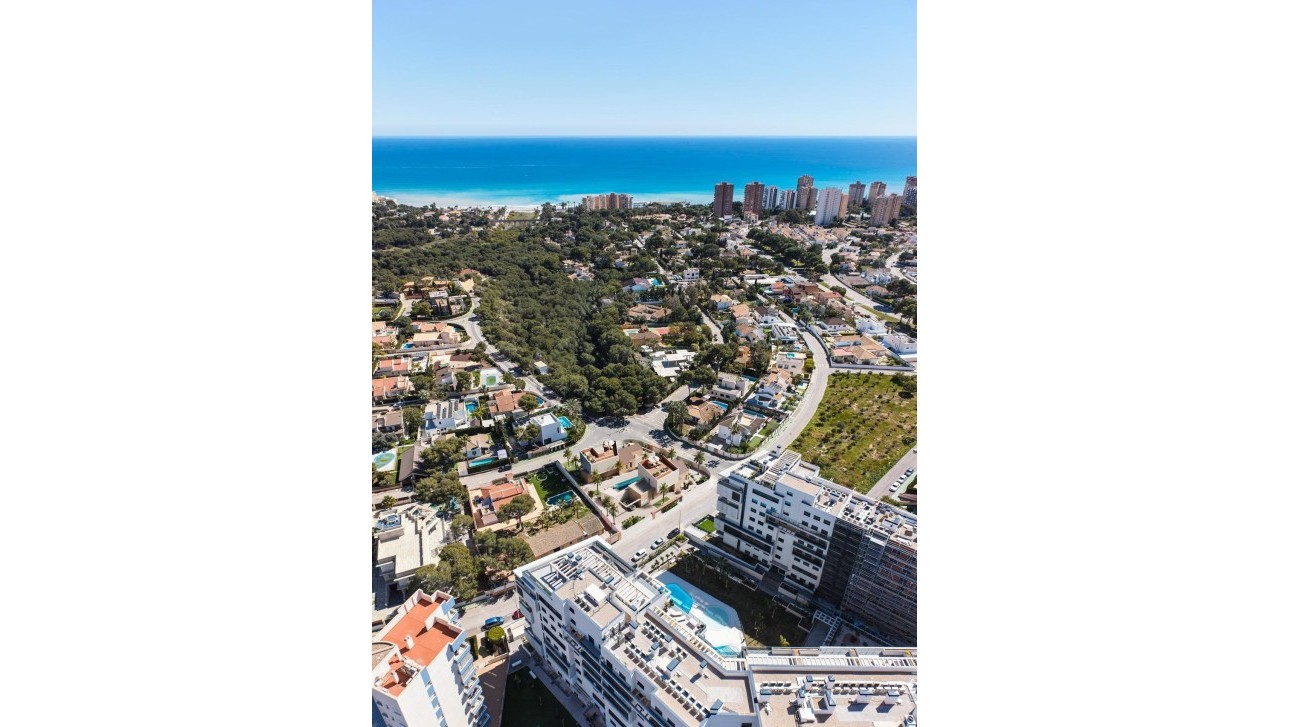 Nouvelle construction - Villa - Orihuela Costa - Dehesa de campoamor
