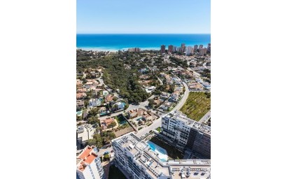 Nouvelle construction - Villa - Orihuela Costa - Dehesa de campoamor