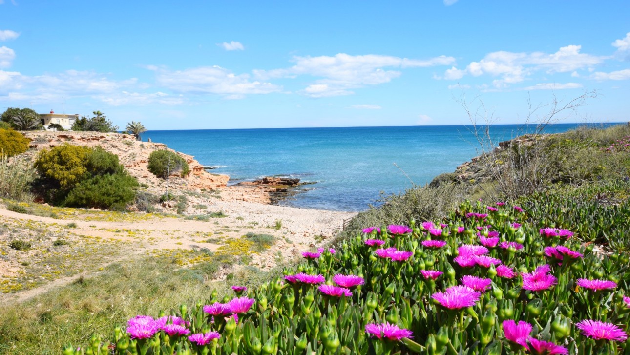 Reventa - Apartment - Torrevieja - Torrelamata