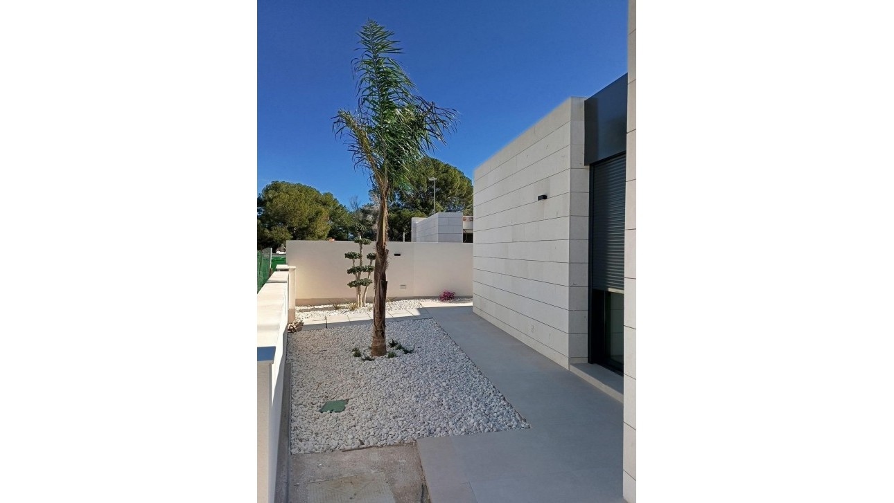 New Build - Villa - Pilar de la Horadada - Roda Golf