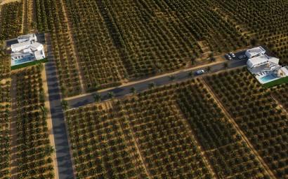 New Build - Villa - Benejúzar - alta