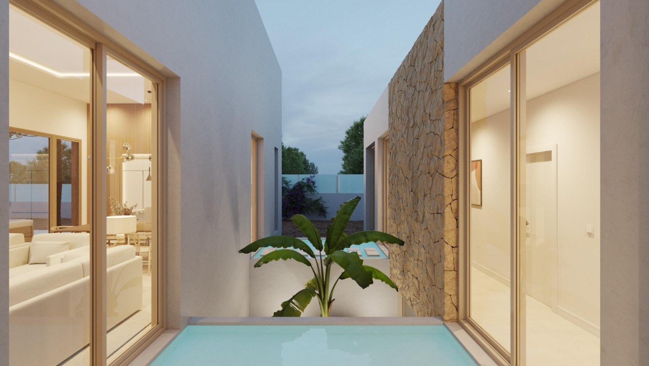 New Build - Villa - Benejúzar - alta
