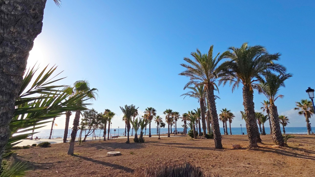 Resale - Apartment - Orihuela Costa - Playa Flamenca