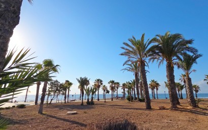 Resale - Apartment - Orihuela Costa - Playa Flamenca