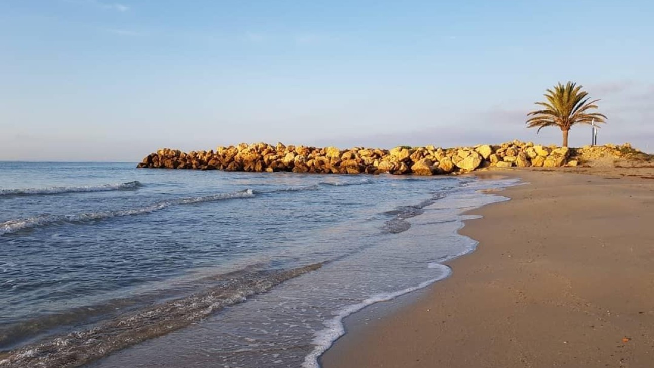 Nieuwbouw Woningen - Apartment - Santa Pola - Playa Tamarit