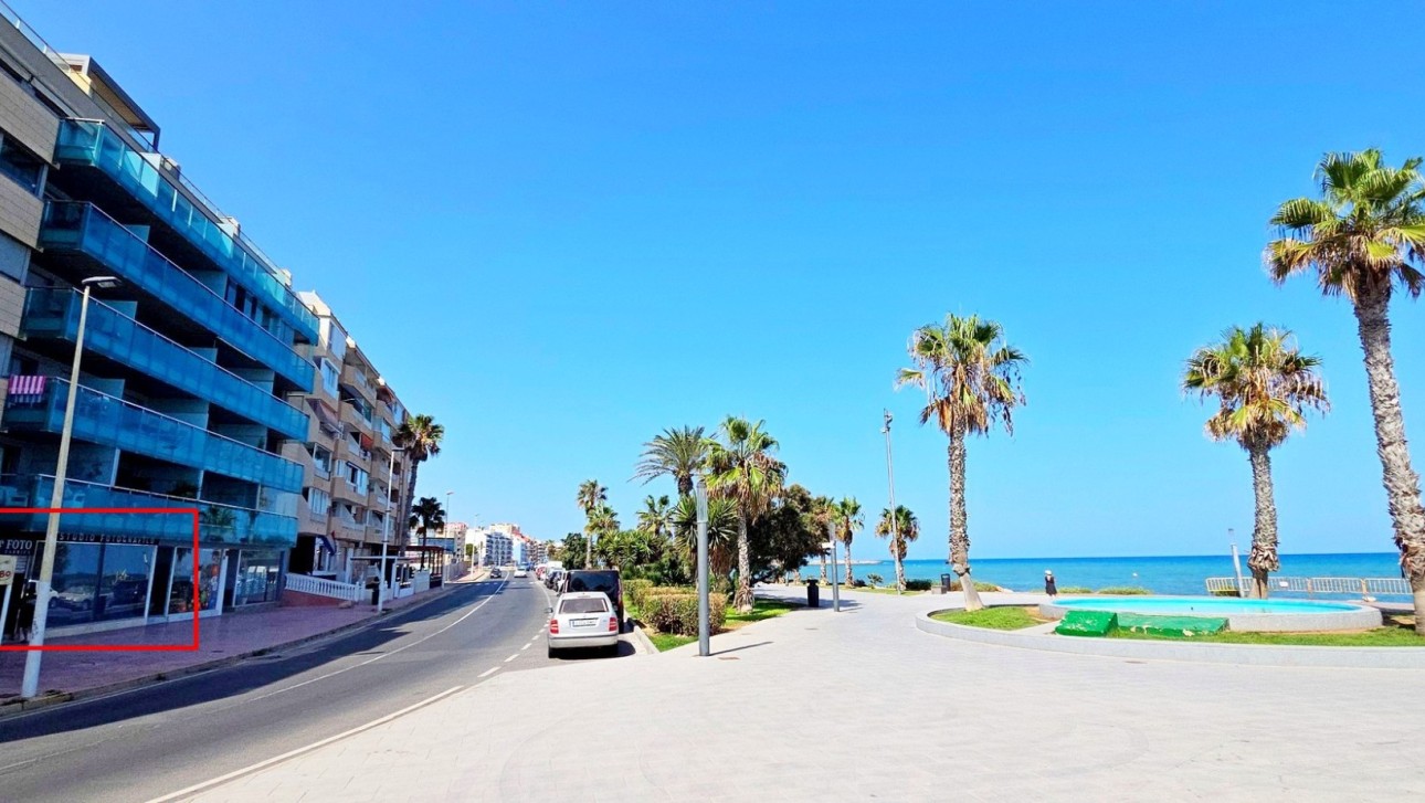 Долгосрочная аренда - Бизнес - Torrevieja - Playa del Cura
