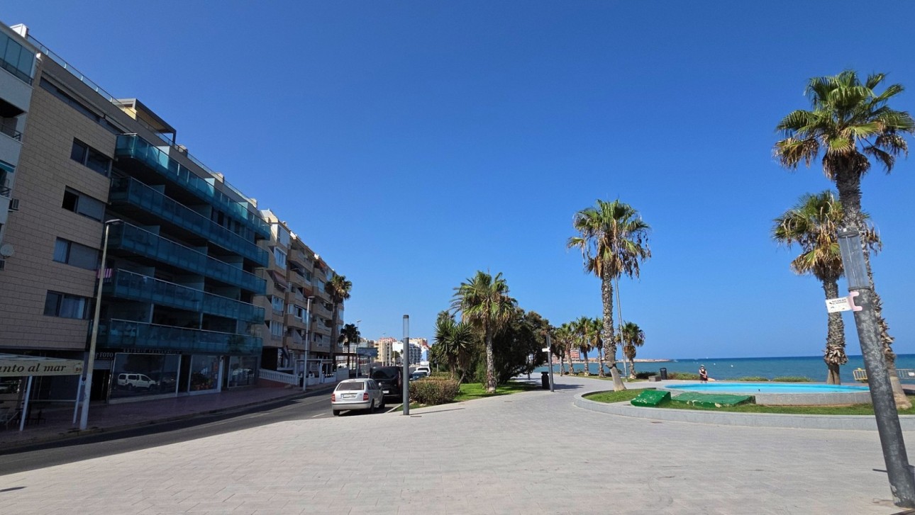 Долгосрочная аренда - Бизнес - Torrevieja - Playa del Cura