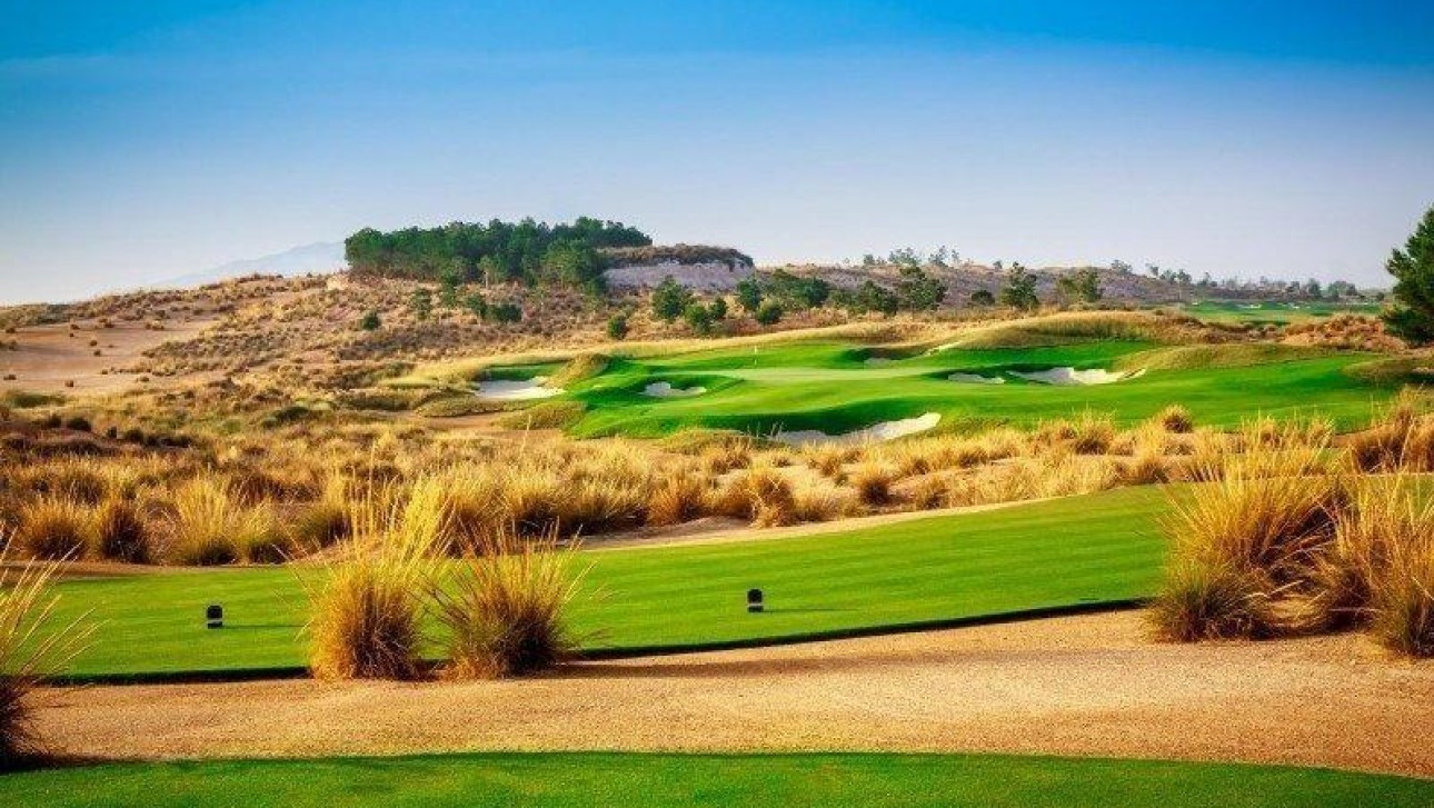 Obra nueva - Villa - Condado de Alhama Golf Resort - Condado De Alhama