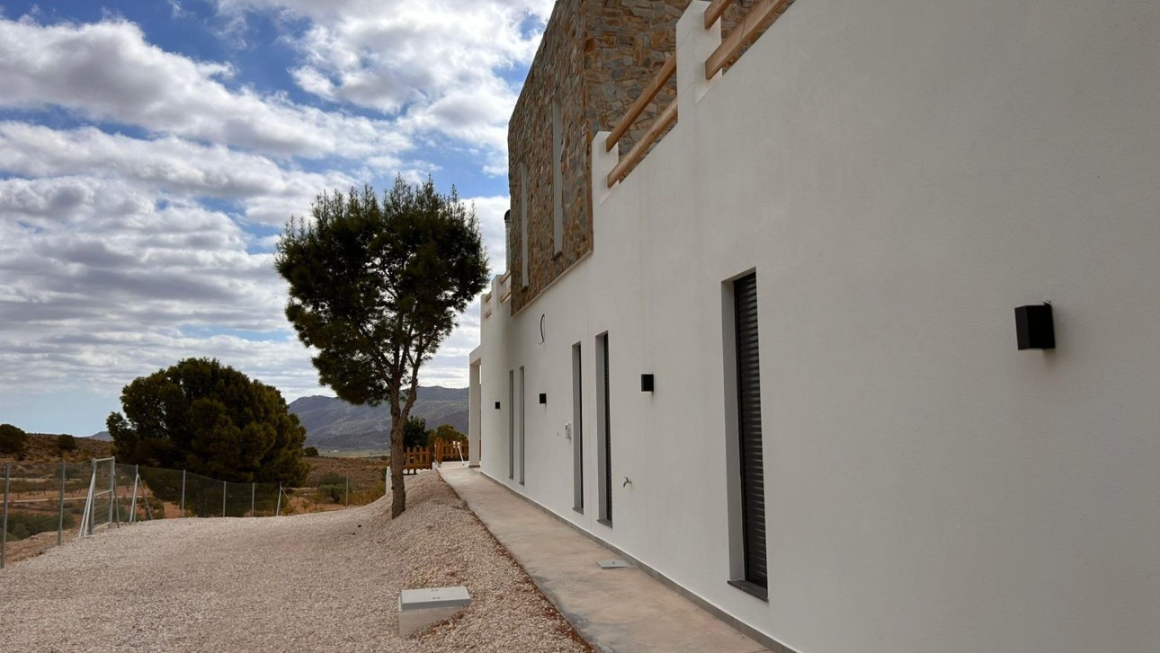 Новое здание - Villa - Pinoso - Casas Pastor