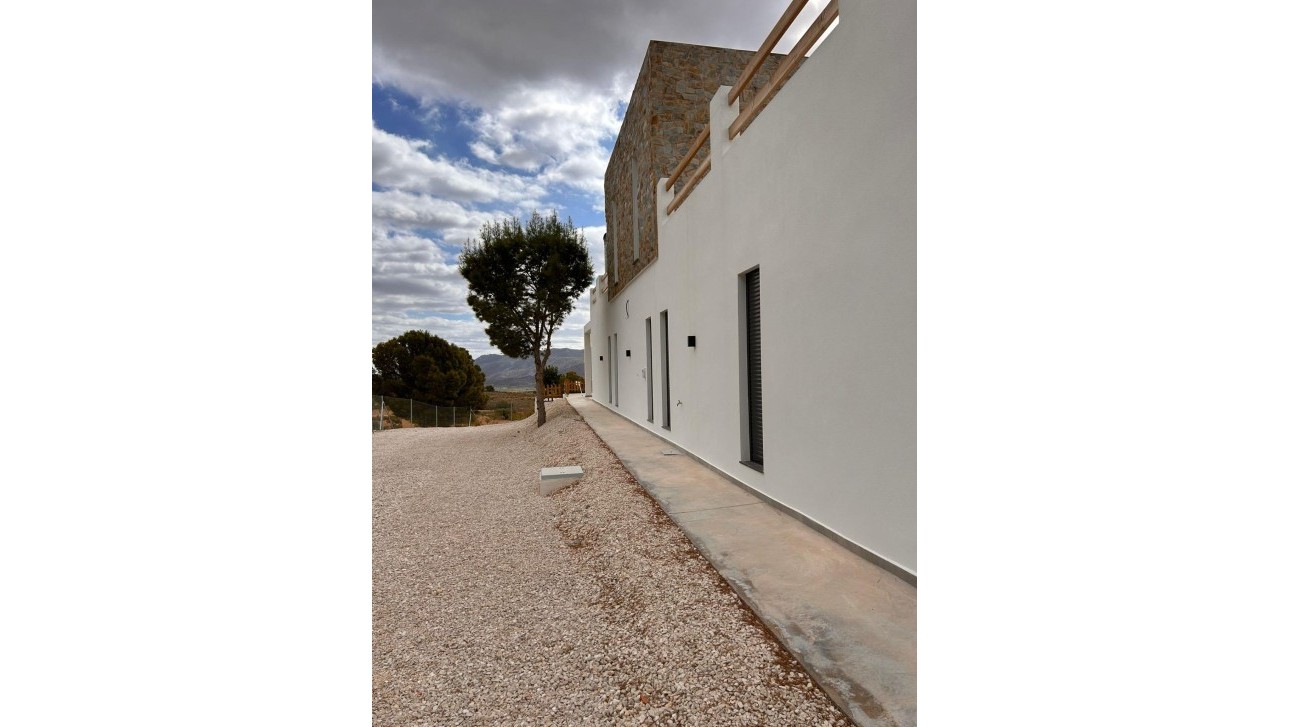 Новое здание - Villa - Pinoso - Casas Pastor