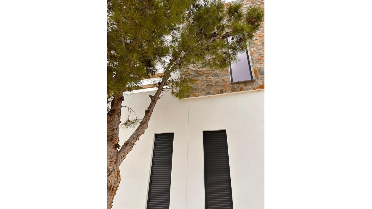 Новое здание - Villa - Pinoso - Casas Pastor