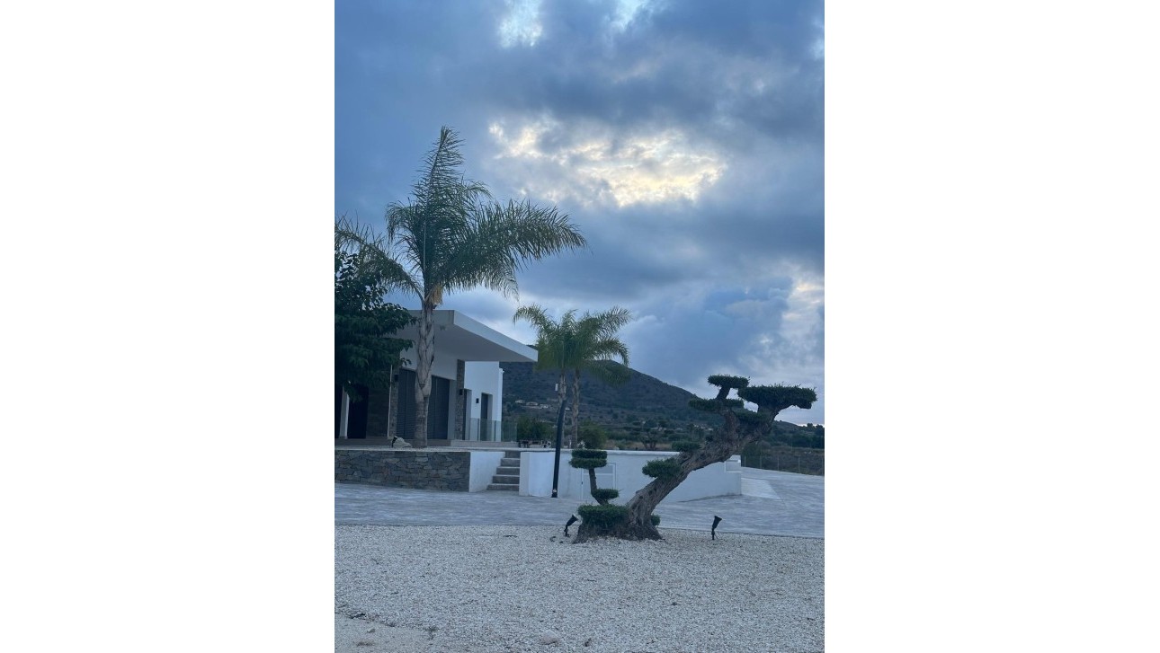 Новое здание - Villa - Pinoso - Casas Pastor