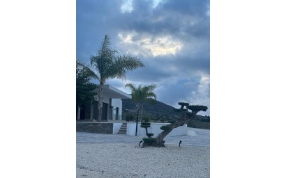Новое здание - Villa - Pinoso - Casas Pastor