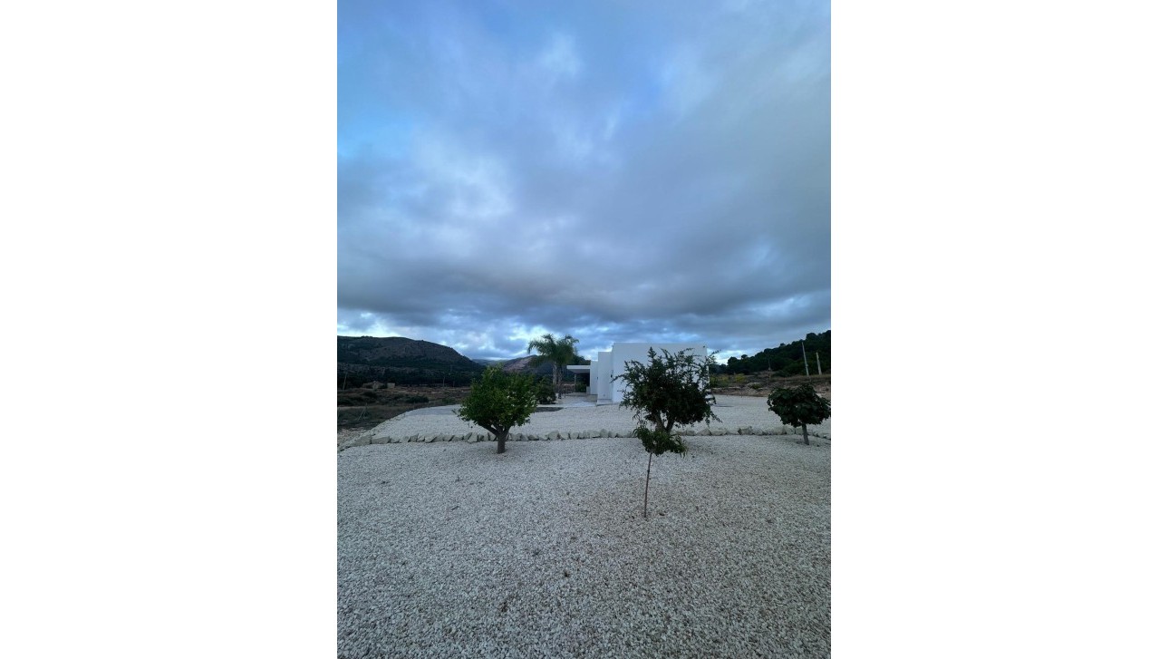 Новое здание - Villa - Pinoso - Casas Pastor