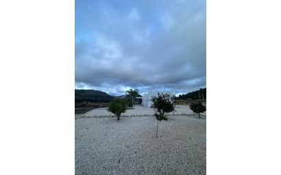 Новое здание - Villa - Pinoso - Casas Pastor