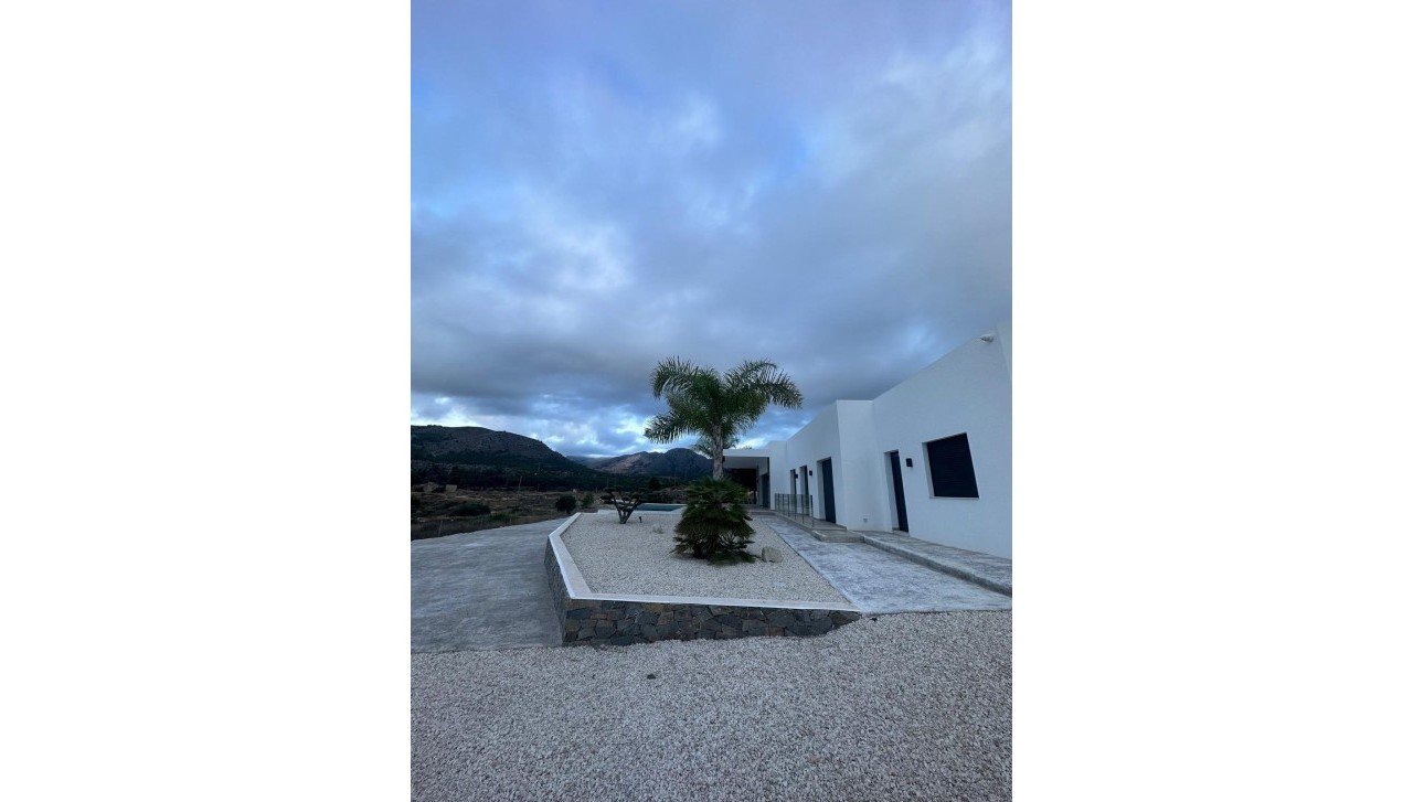 Новое здание - Villa - Pinoso - Casas Pastor