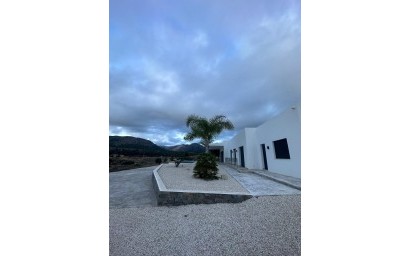 Новое здание - Villa - Pinoso - Casas Pastor