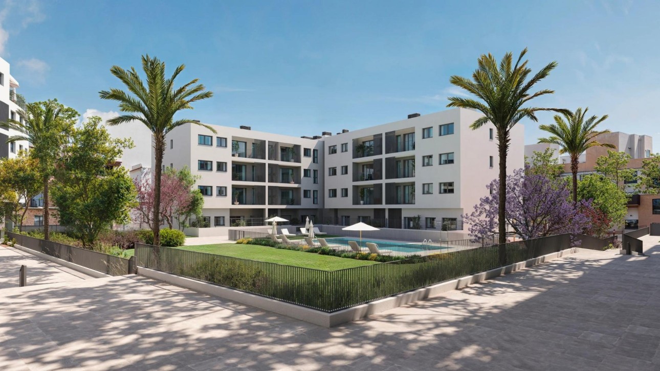 Nowy budynek - Apartment - Alicante - San Agustín