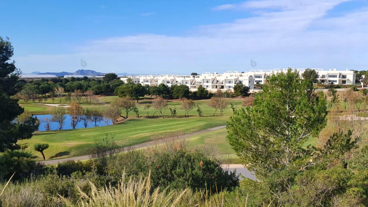 New Build - Villa - Pilar de la Horadada - Lo Romero Golf