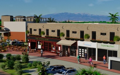 New Build - Penthouse - Fuente Álamo - La Pinilla