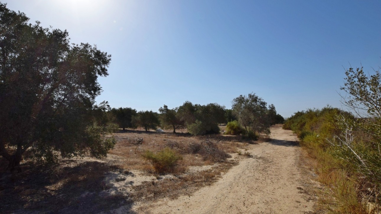 Resale - Villa - San Fulgencio - Oasis La Marina
