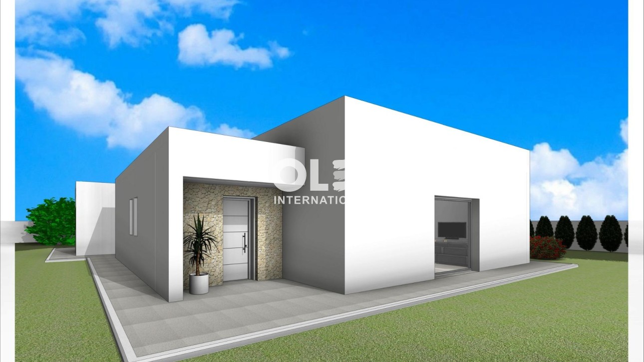 Новое здание - Villa - Aspe - Poligono 19