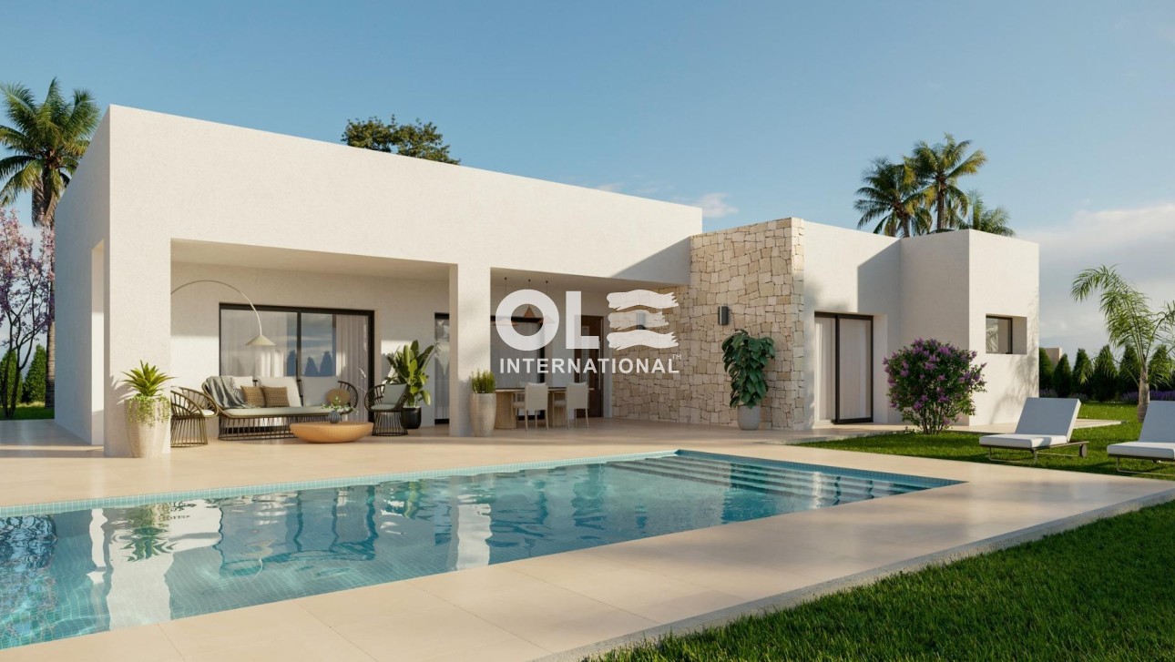 Новое здание - Villa - Aspe - Poligono 19
