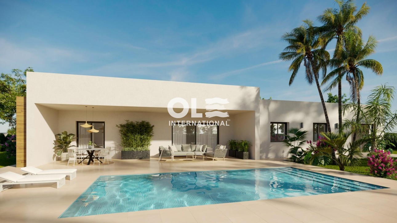 Новое здание - Villa - Aspe - Poligono 19