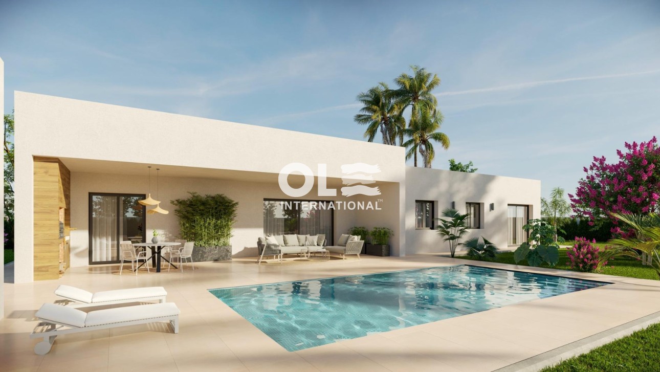 Новое здание - Villa - Aspe - Poligono 19