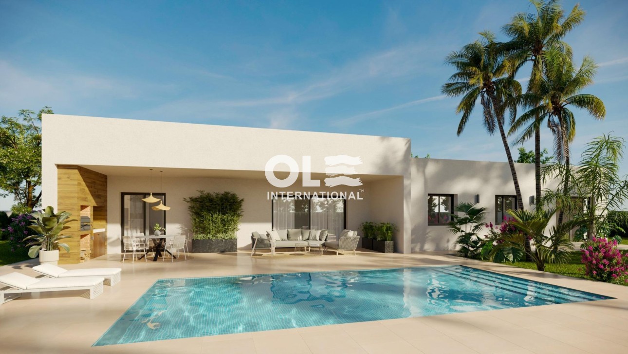 Новое здание - Villa - Aspe - Poligono 19
