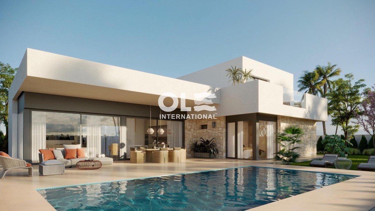 Новое здание - Villa - Aspe - Poligono 19