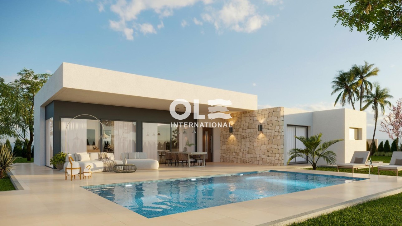 Новое здание - Villa - Aspe - Poligono 19