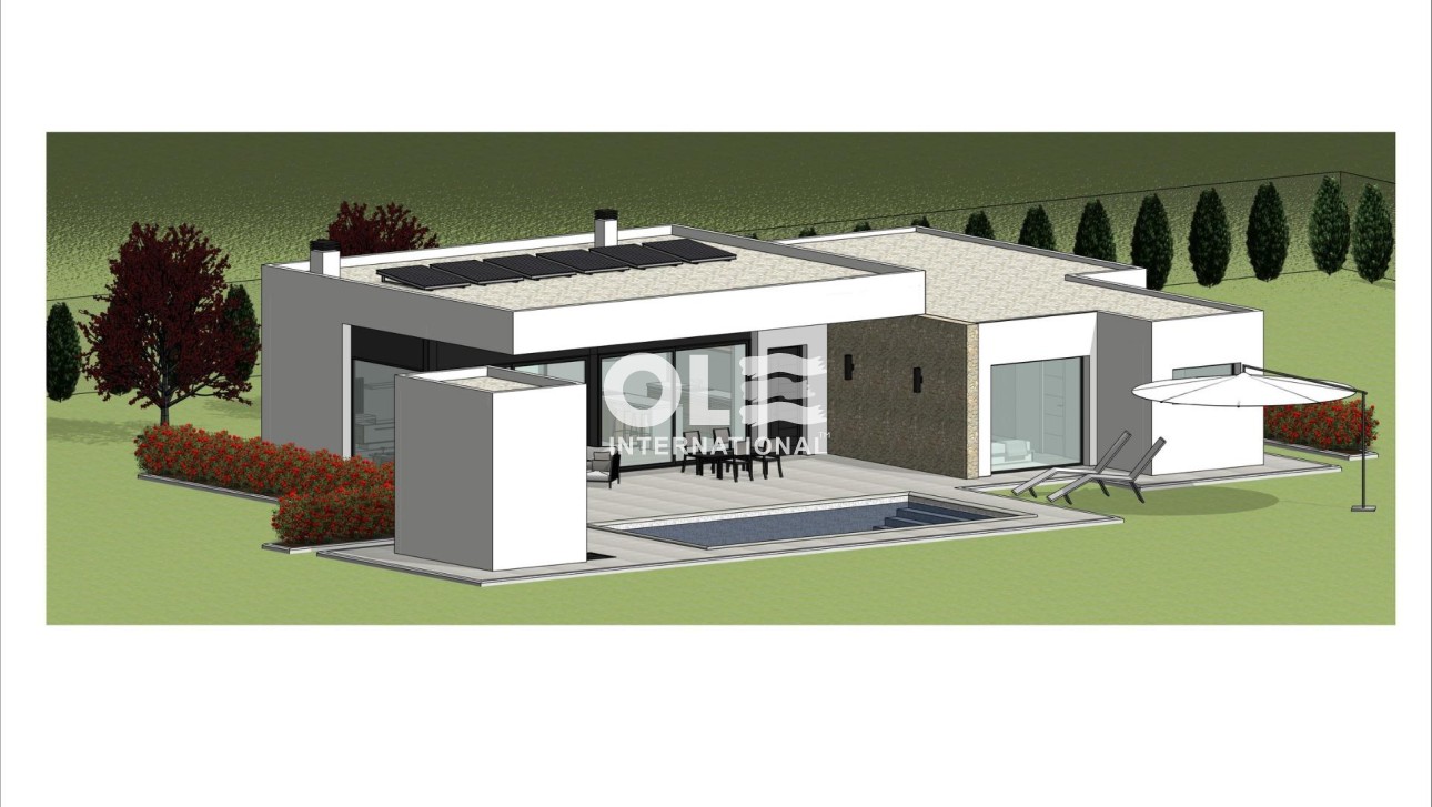 Новое здание - Villa - Aspe - Poligono 19