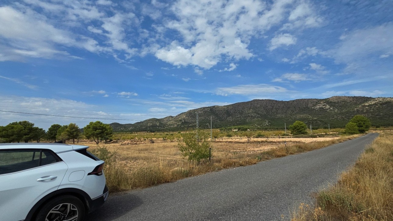 Resale - Plot / Land - Pinoso
