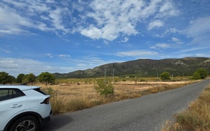 Resale - Plot / Land - Pinoso