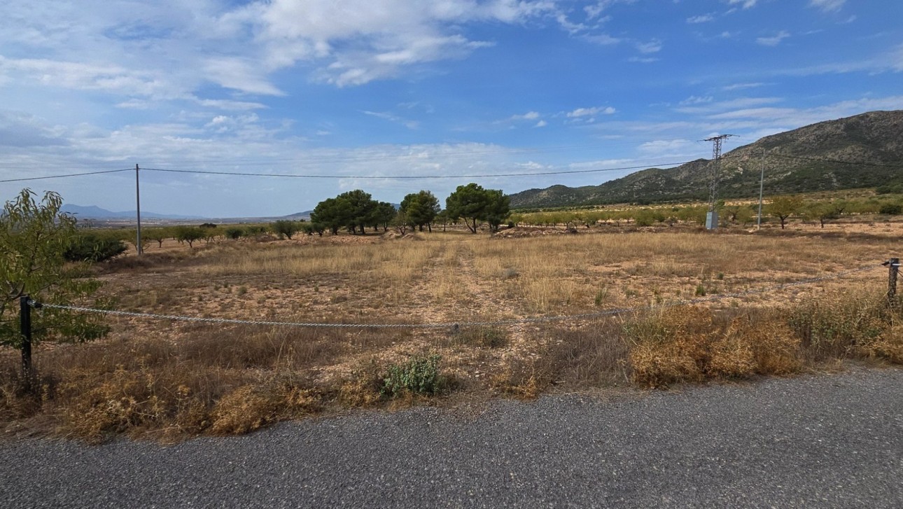 Resale - Plot / Land - Pinoso