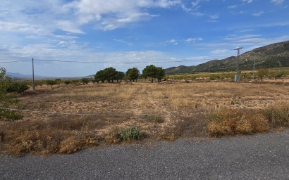 Resale - Plot / Land - Pinoso