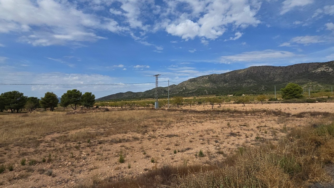 Resale - Plot / Land - Pinoso