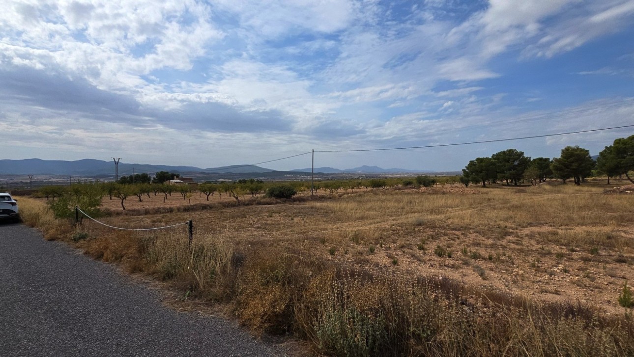 Resale - Plot / Land - Pinoso