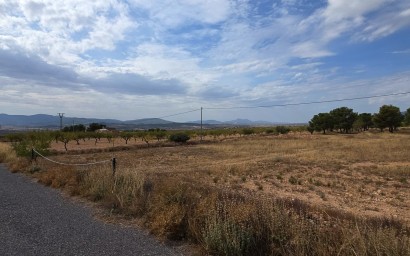 Resale - Plot / Land - Pinoso